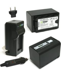 Wasabi Power 5800mAh Battery (2-Pack) and Charger for Panasonic VW-VBD58, AG-VBR89G and Panasonic AG-3DA1, AG-AC8, AG-DVX200, AG-HPX255, AG-HVX201, AJ-PCS060, AJ-PX298, HC-MDH2, HC-X1000, HDC-Z10000